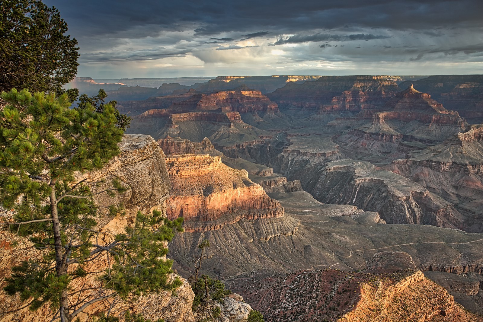 Grand Canyon South Rim from Navajo point